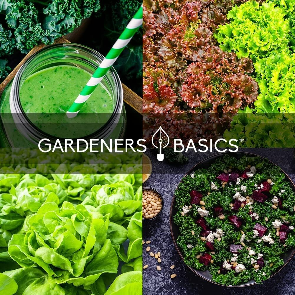 5 Variety Hydroponic Seed Pack: GMO-Free Indoor/Outdoor Greens for Family Gar…