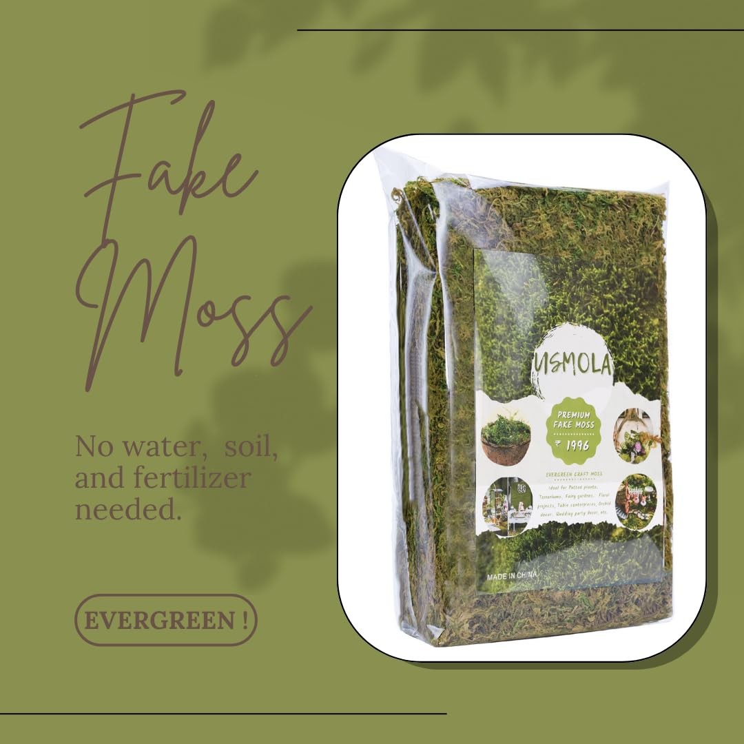 USMOLA Fake Green Moss for Potted Plants, 4OZ (113g), Fresh 140gr