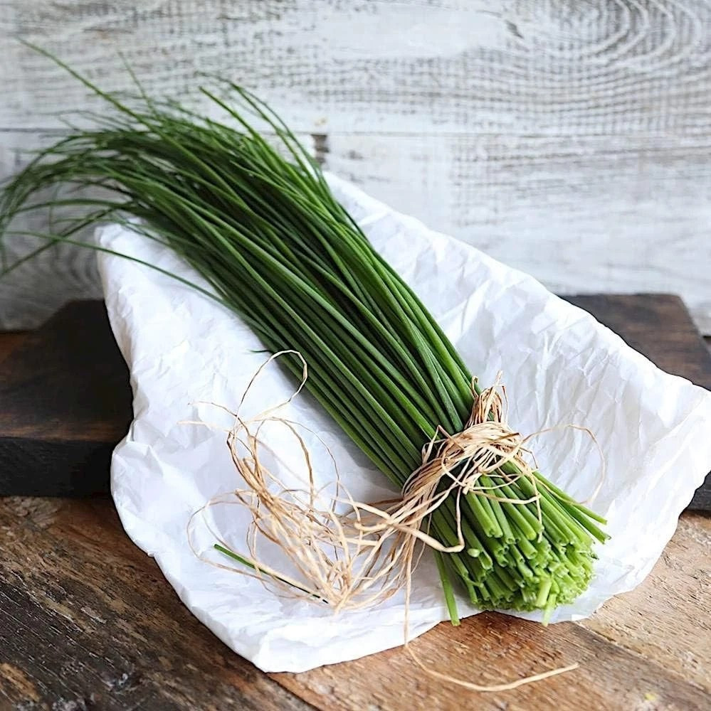 500+ CHIVES SEEDS — GREEN ONION ———— PERENNIAL — MOSQUITO REPELLENT