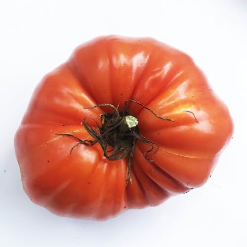 Large Red Heirloom Mix – Beefsteak Type – Tomato Seeds (Solanum lycopersicum)