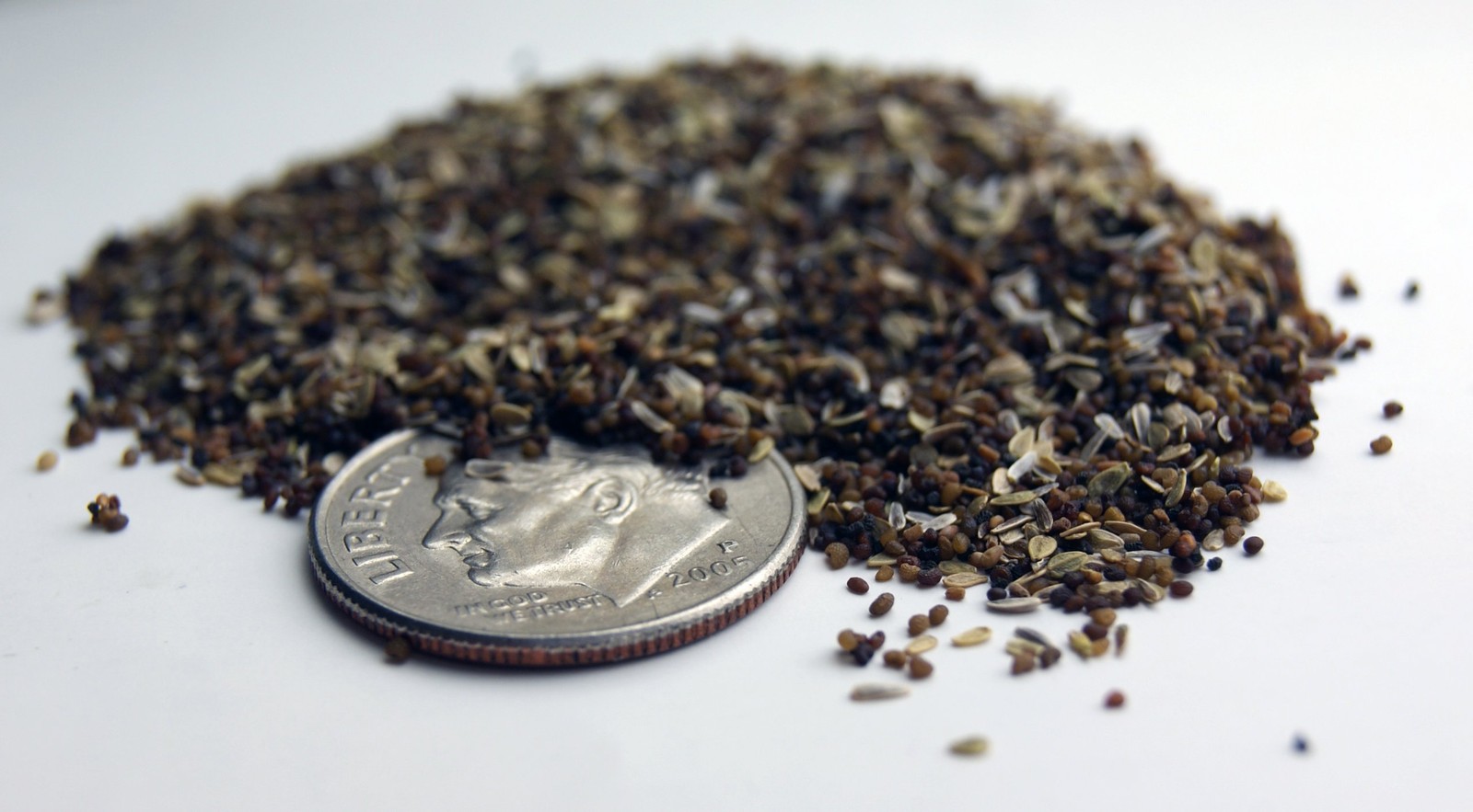 Recycled Lotka Printer Paper with 25 Seed Embeds for EcoFriendly Printing