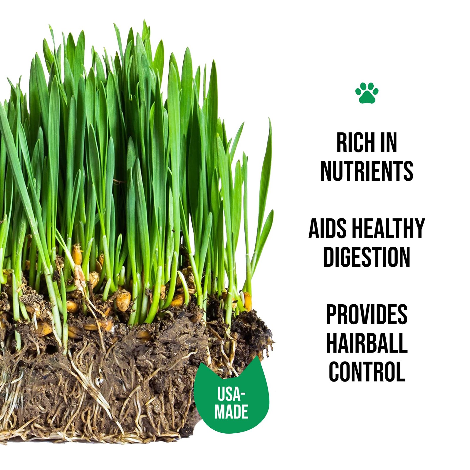 Organic Cat Grass Growing Kit – Seed Mix, Soil & Ceramic Planter for Hairball