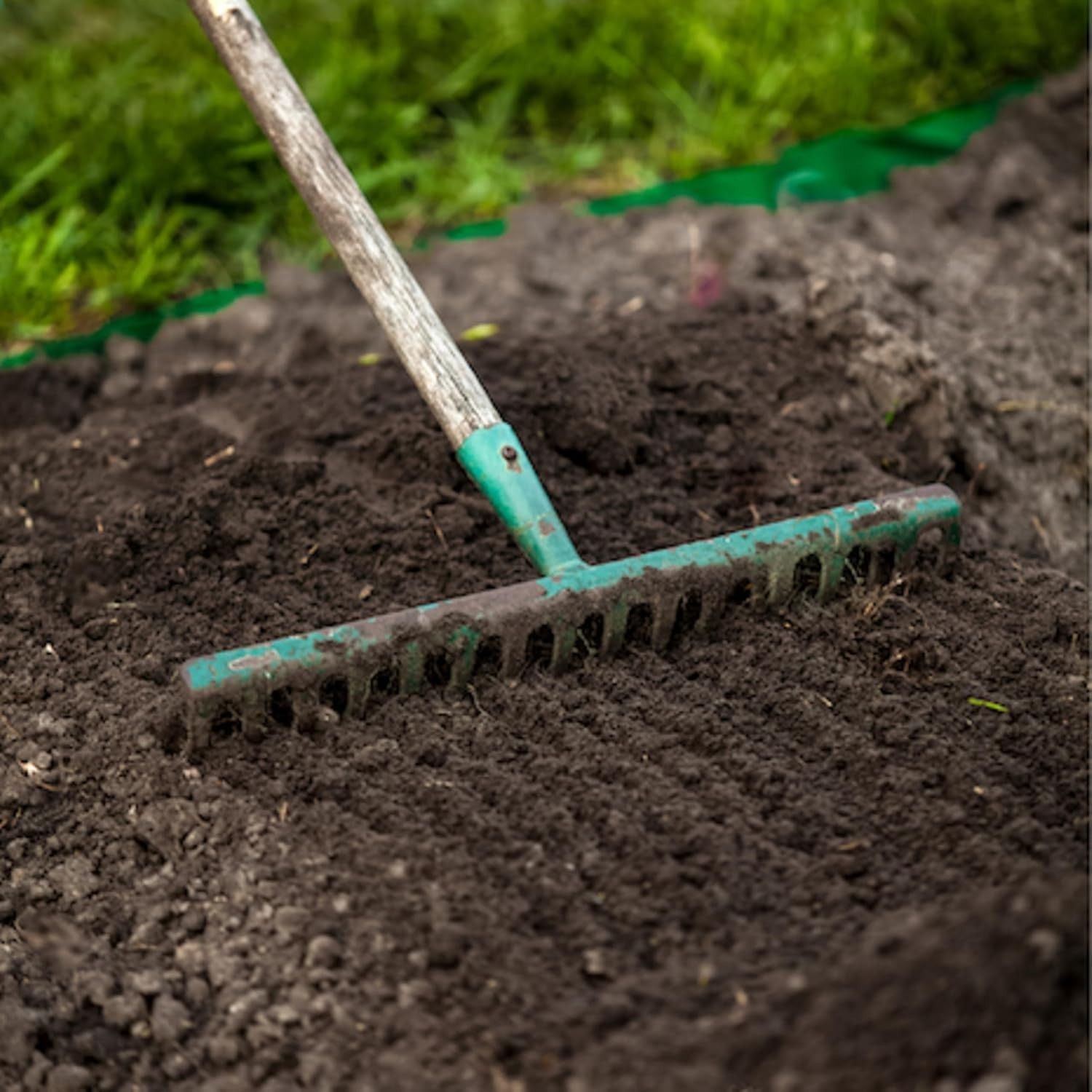 Quality Contractors Grass Seed 40 lb