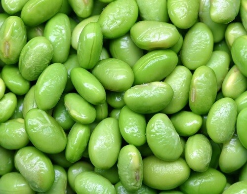 Be Sweet Soybean – 60 Seeds – High in Protein