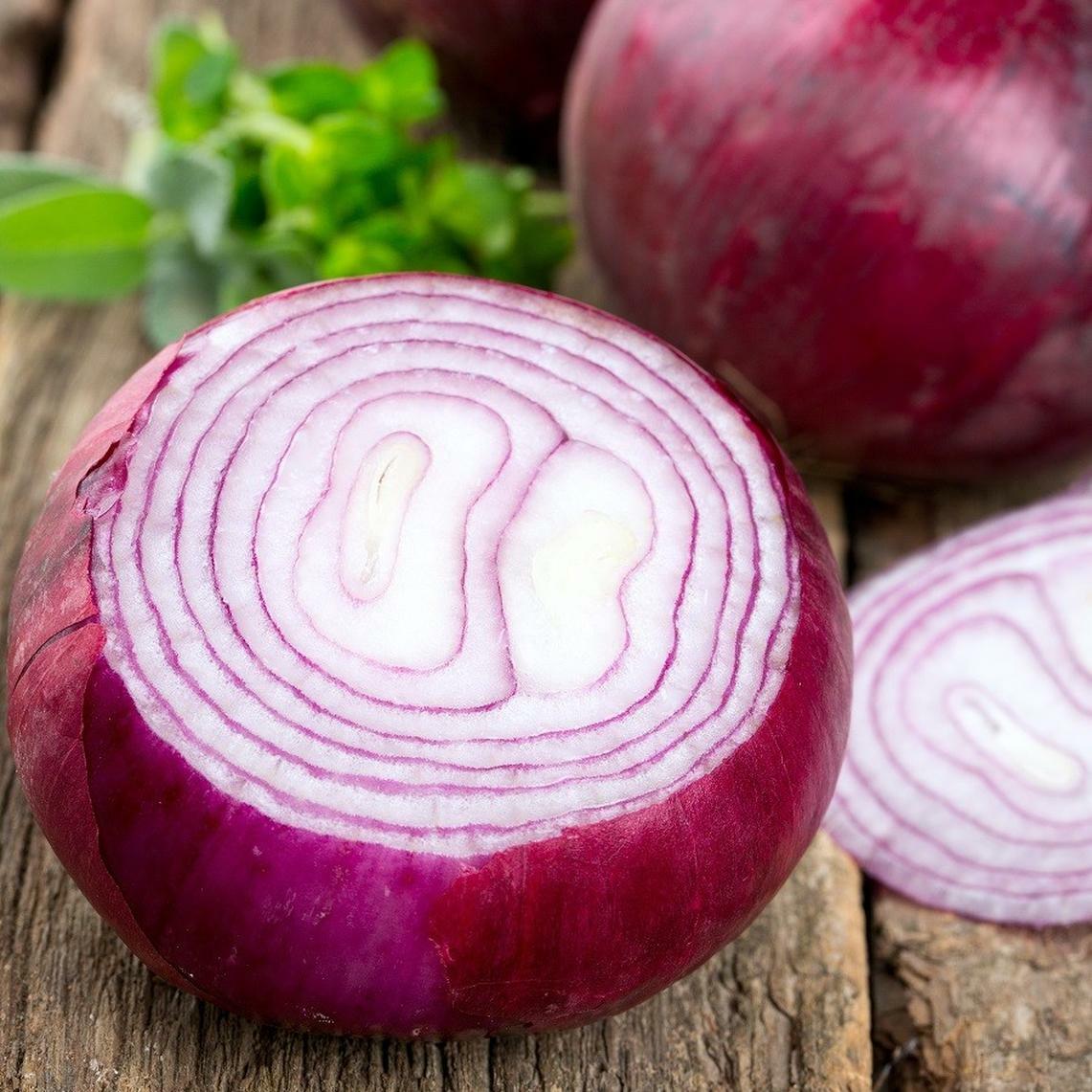 400+RED GRANO SWEET ONION Seeds Short Day Organic Spring Fall Vegetable Garden