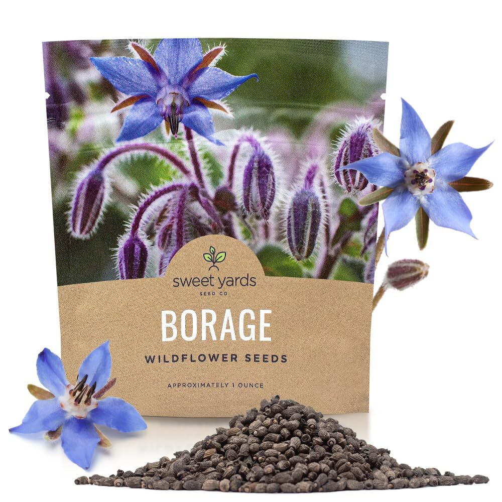 Borage Seeds – Extra Large Packet – Over 1200 Open Pollinated Non-GMO Wildflo…