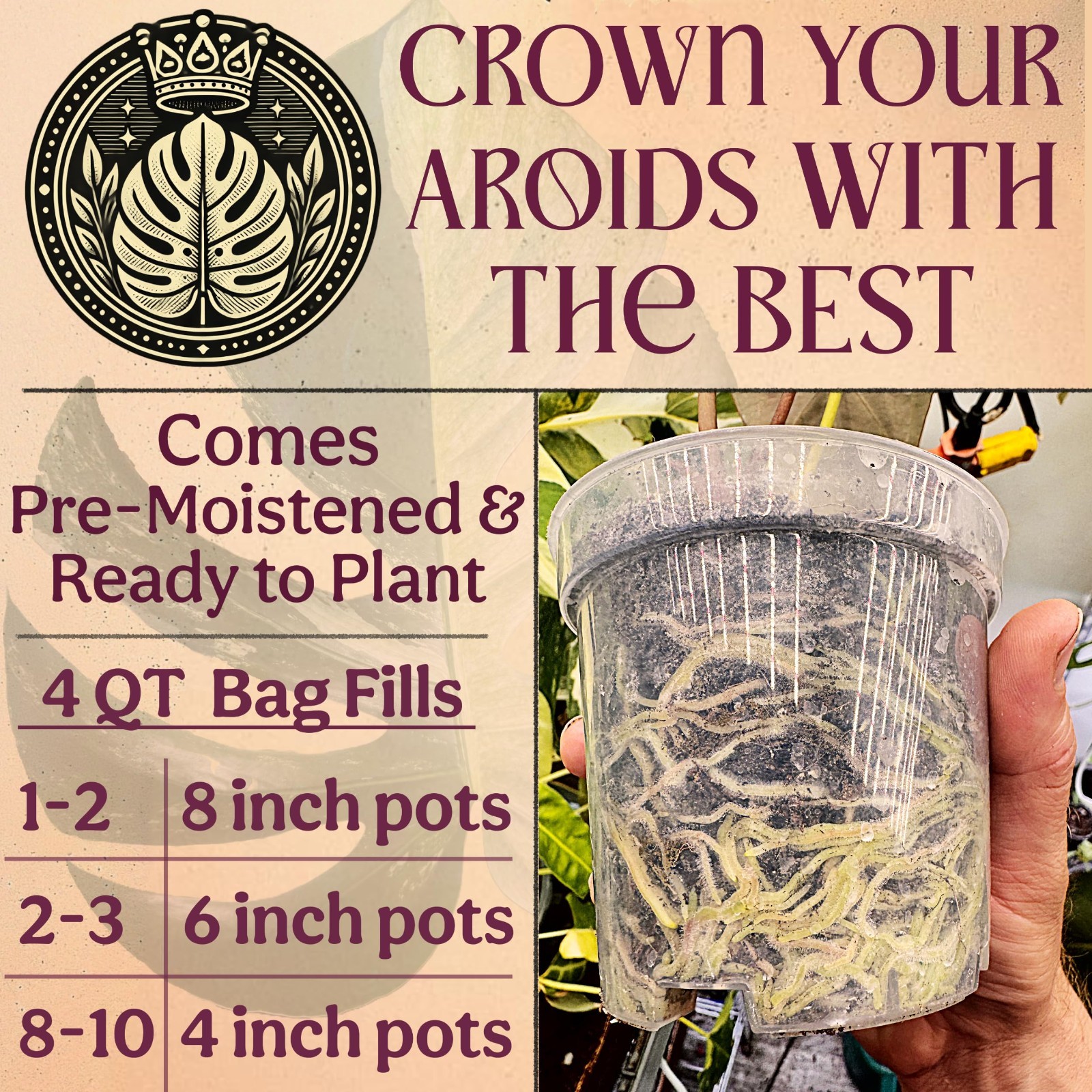 Organic Potting Mix for Indoor Plants – Well-Draining Soil for Alocasia, Monster