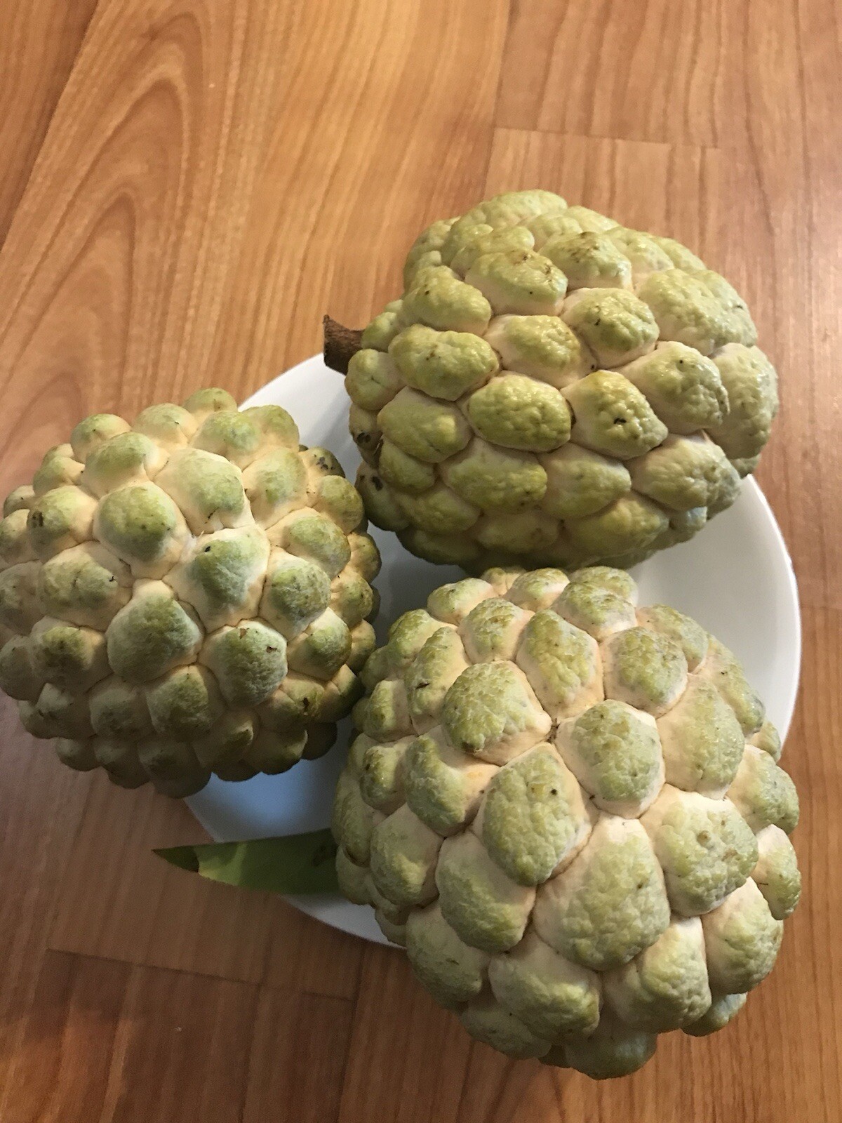 1 Sugar Apple Na Dai( Mãng Cầu Dai) 5” -9” Live Seed Tree-Asian Plant Collection