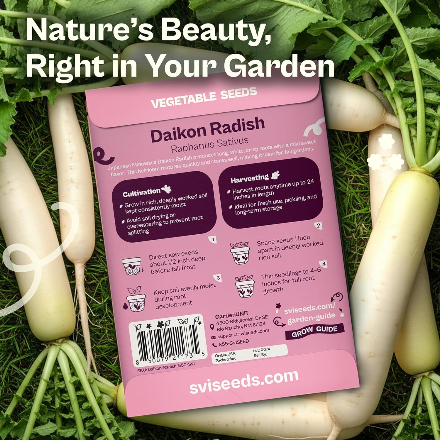 550 Daikon Radish Seeds (Raphanus Sativus) – White Radish Seed Packets, 45-Day R
