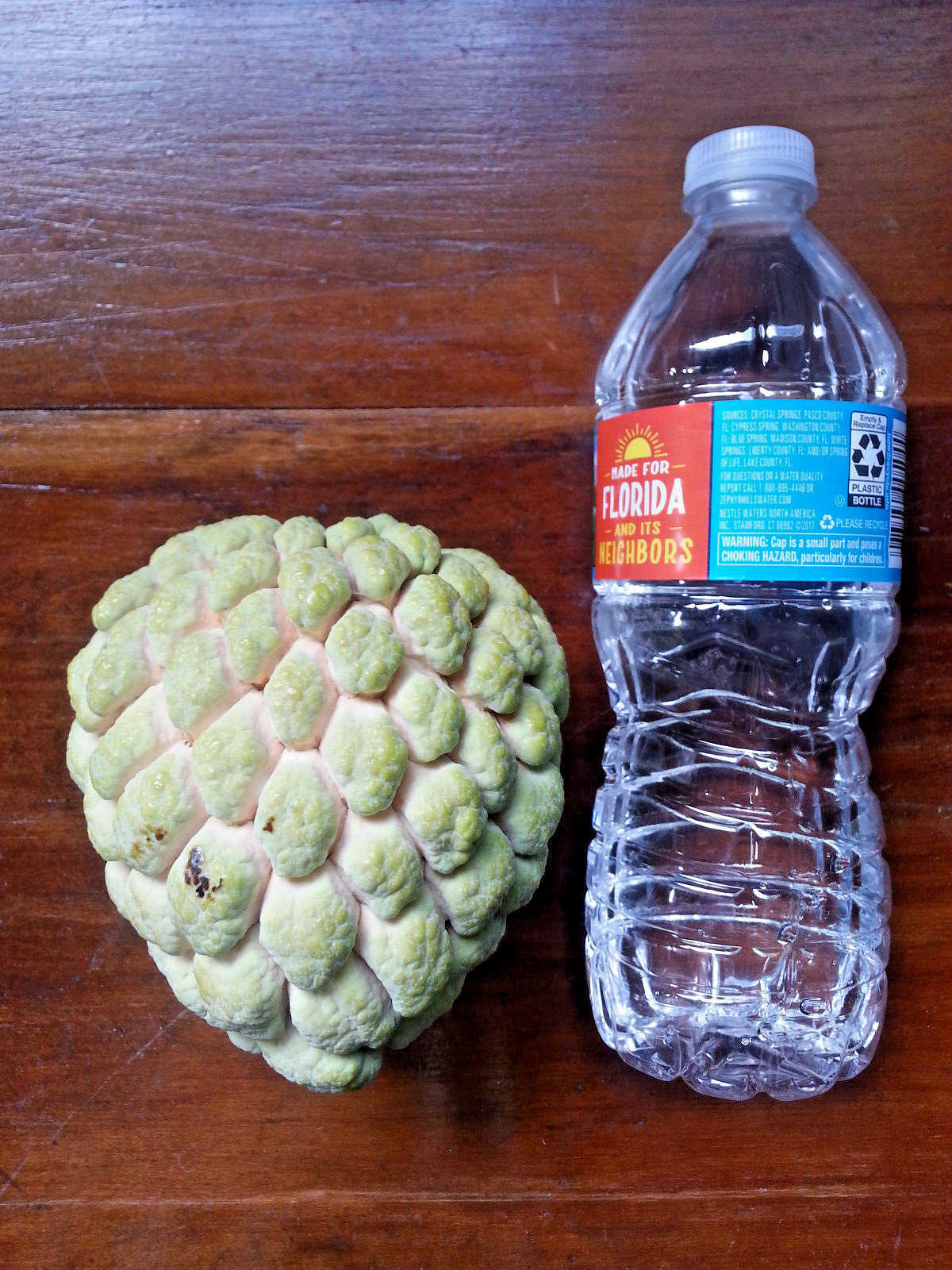 SUGAR APPLE SEEDS – 6 Seeds -Produces BIG, SWEET fruit – SWEET SOP