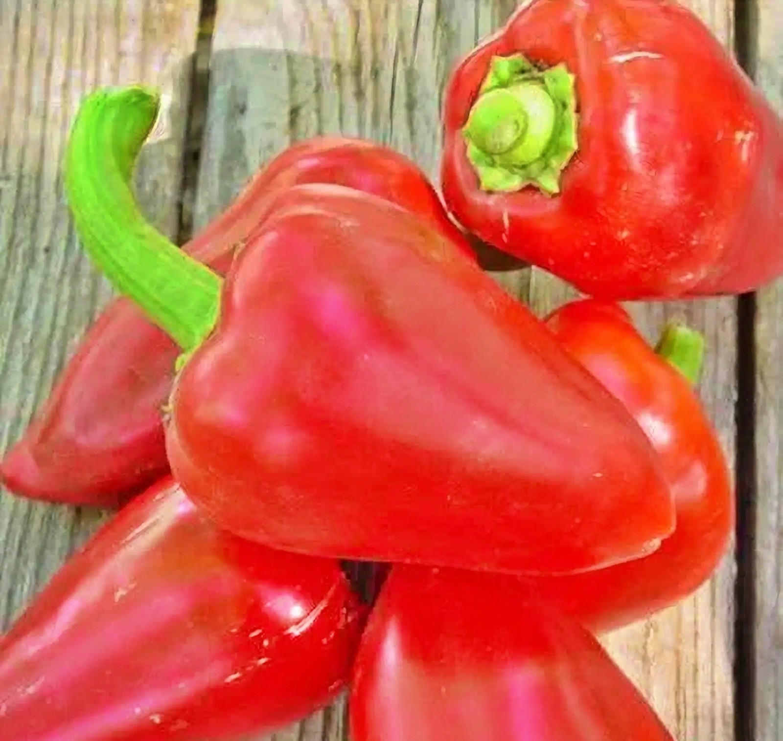 Pimento L, Sweet Pepper ABS