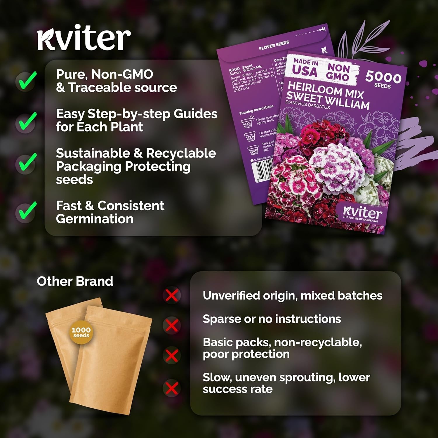 Versatile 5000 Count Sweet William Seeds – Low Maintenance & Resilient Flowers