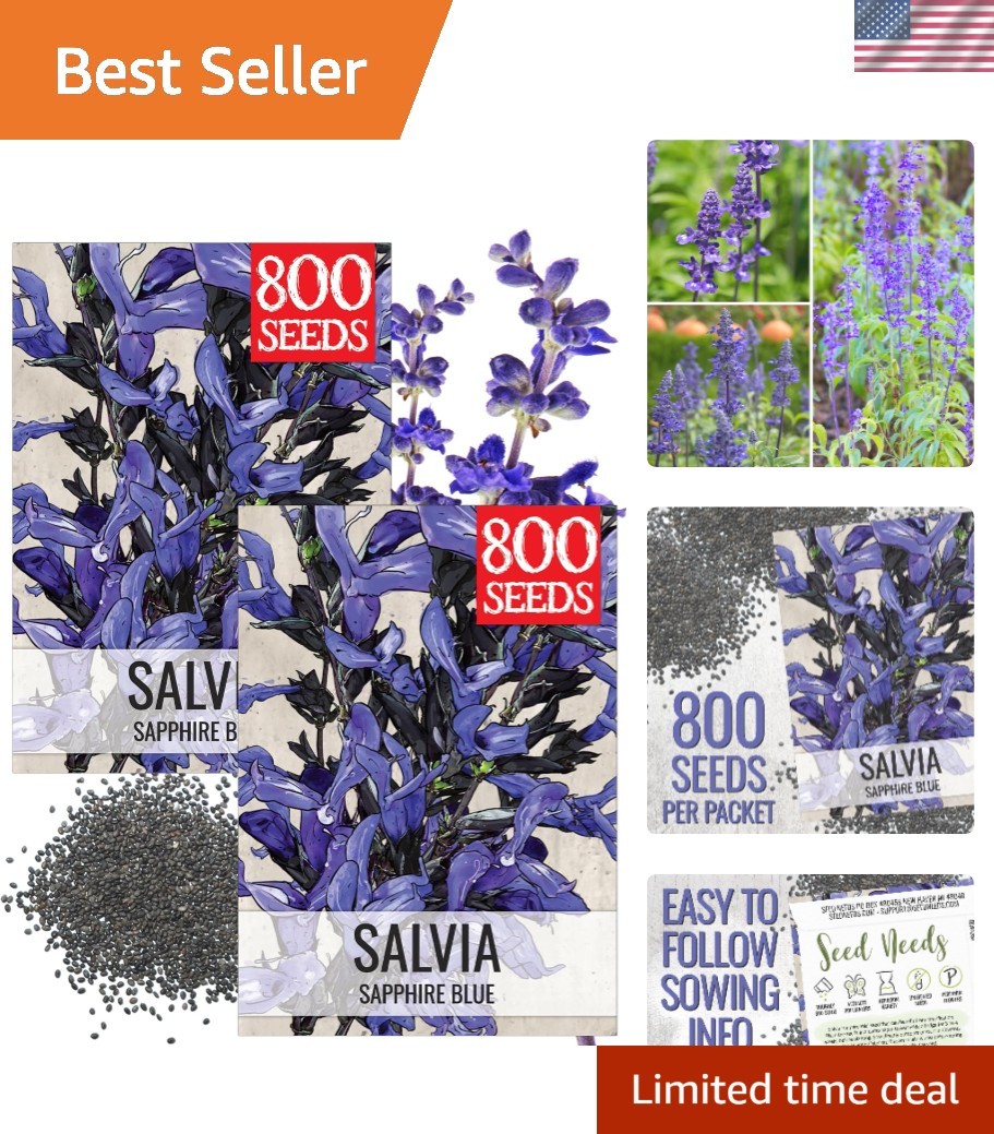 Sapphire Salvia Seeds – 2 Packs of Heirloom Blue Flowers to Attract Pollinators