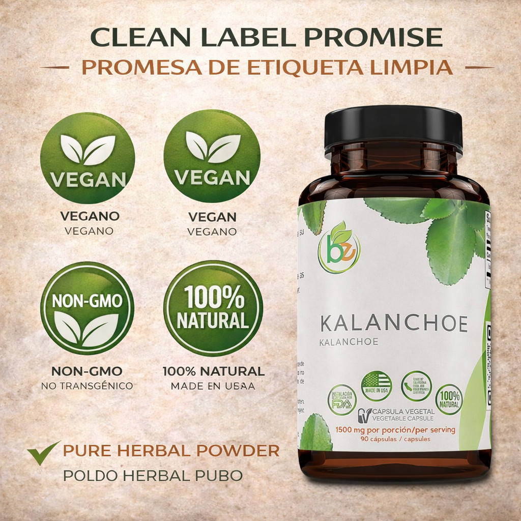 Kalanchoe Pinnata Forte(Leaf of Life) 90 Capsules (1500 mg per Serving)