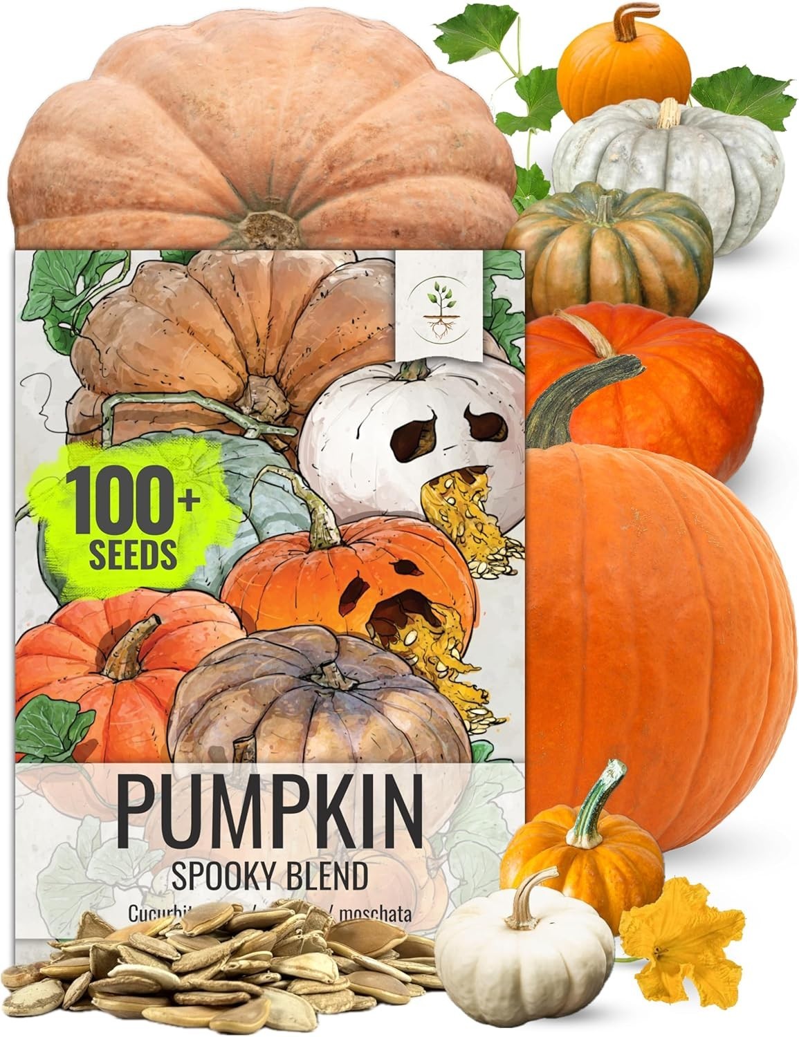 Pumpkin Specialty Spooky Blend 100+ Seeds 10+ Varieties Heirloom Non-GMO