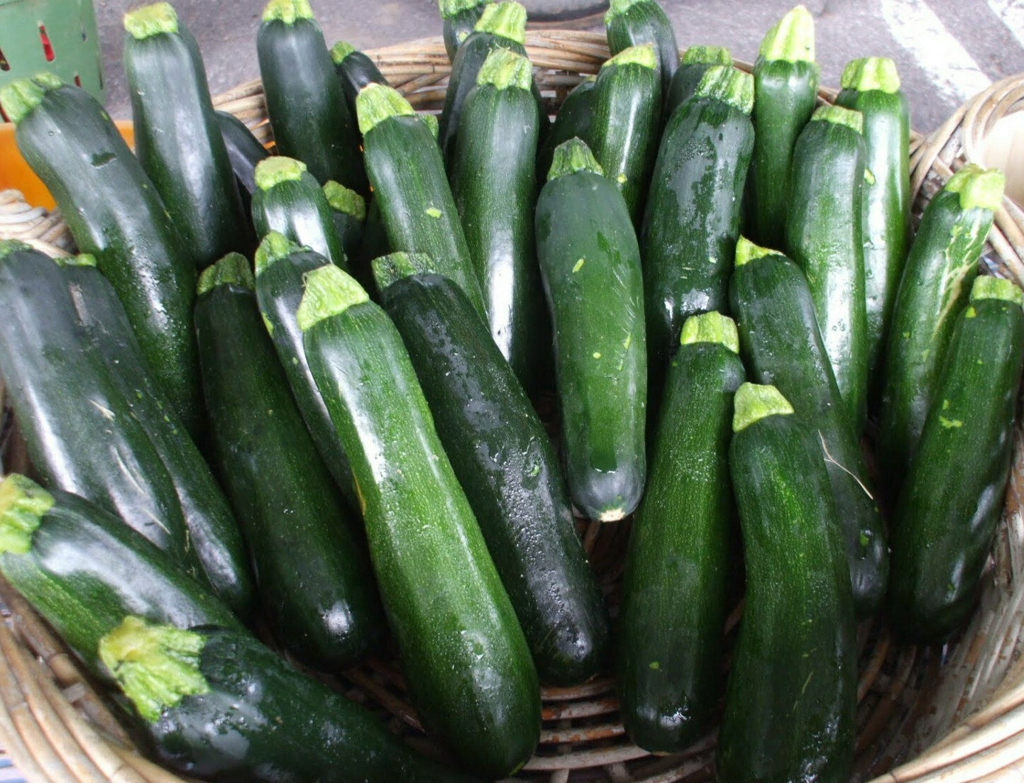 Squash Black Beauty Zucchini Seeds 25 Ct Summer Vegetable NON-GMO FREE SHIPPING
