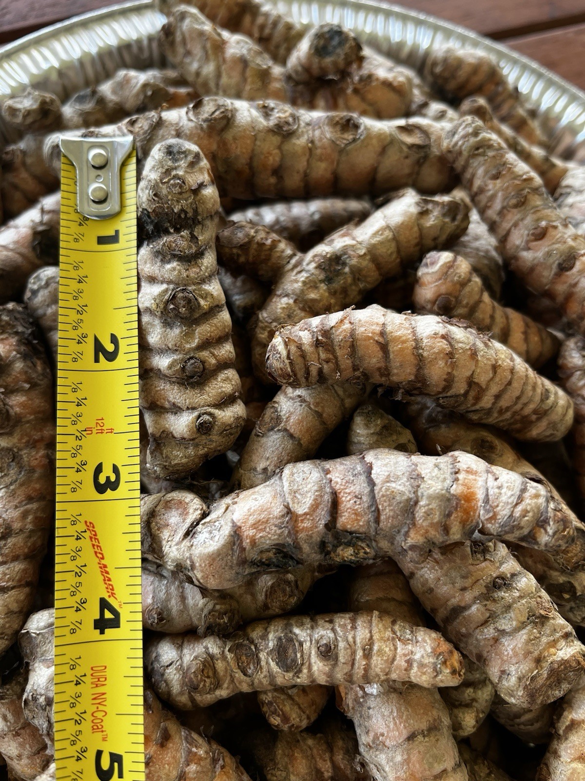 10 PCs Turmeric Roots Curcuma Longa Ready To Plant 1-2” with growth