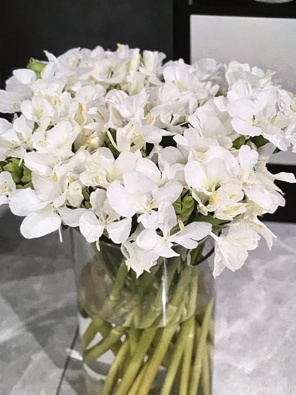 Hedychium Coronarium / Fragrant White Butterfly Lily / Ginger Lily ( 2 Roots)