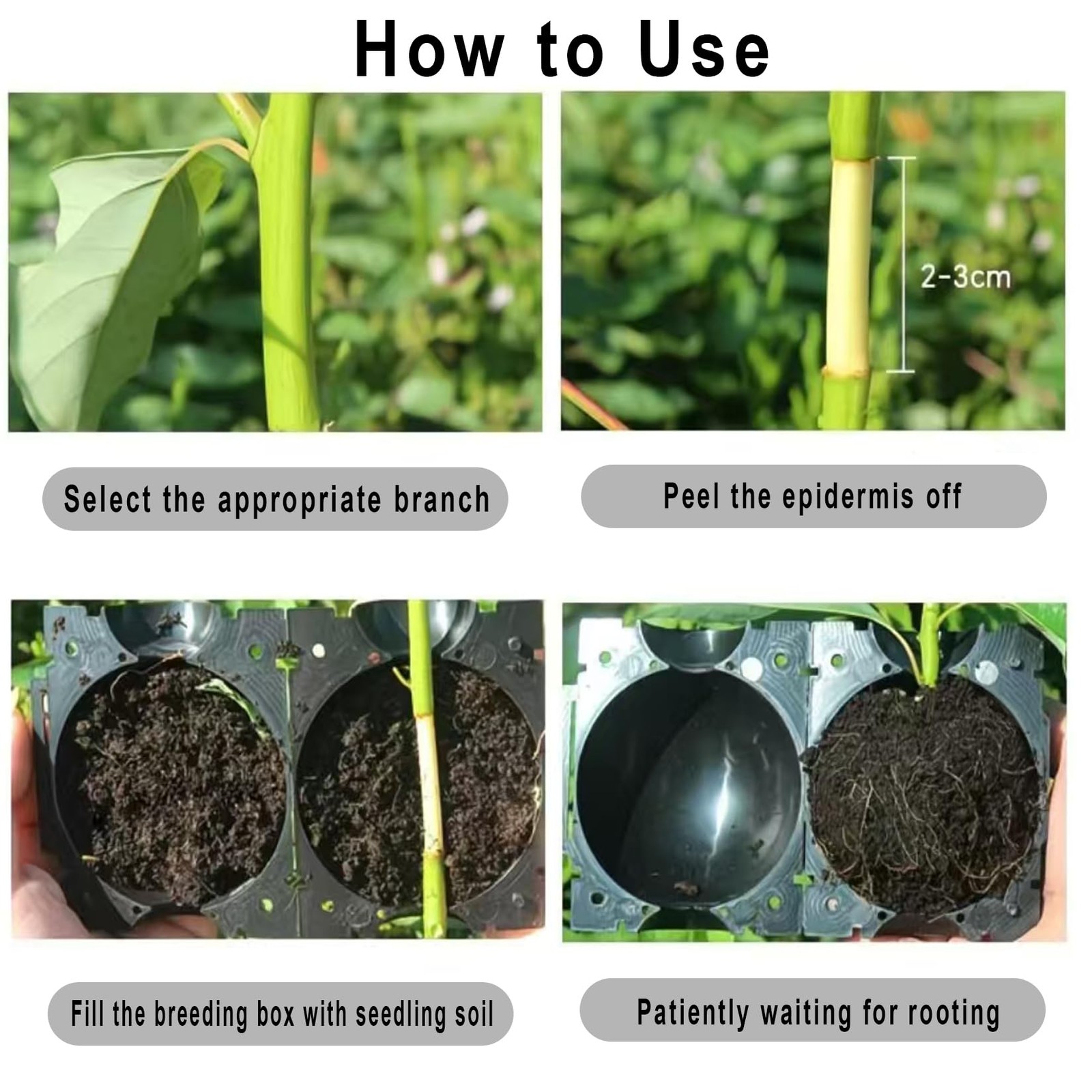 Reusable Plant Rooting Ball, Markeny Propagation Root 5 cm/ 2 inches