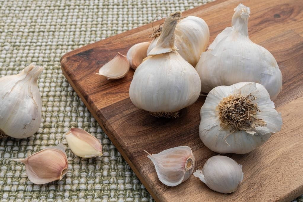 Garlic Seeds for Planting, 100 Organic Non-GMO Garlic Seeds for Planting Outd…