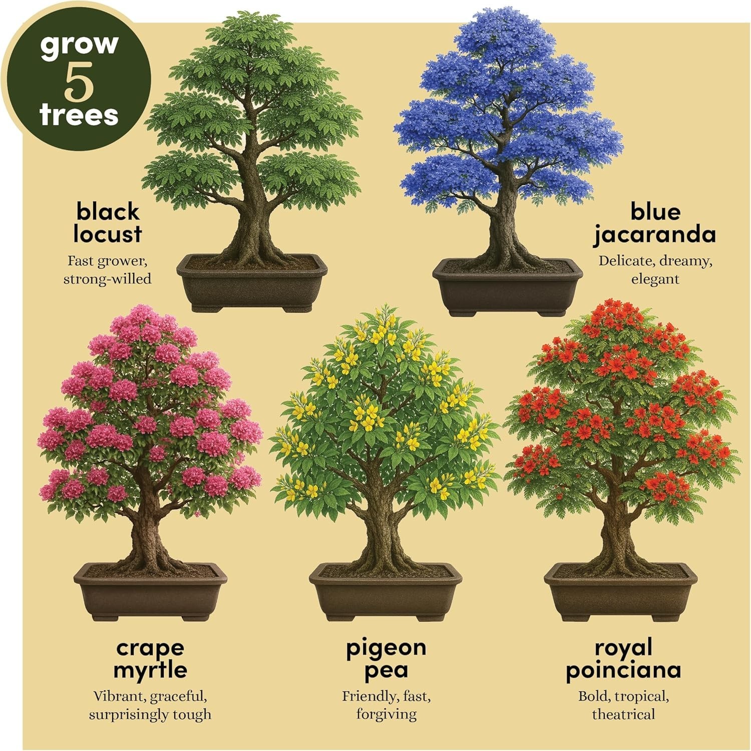Planter’s Choice Bonsai Starter Kit – 5 Unique Seed Varieties for All Ages