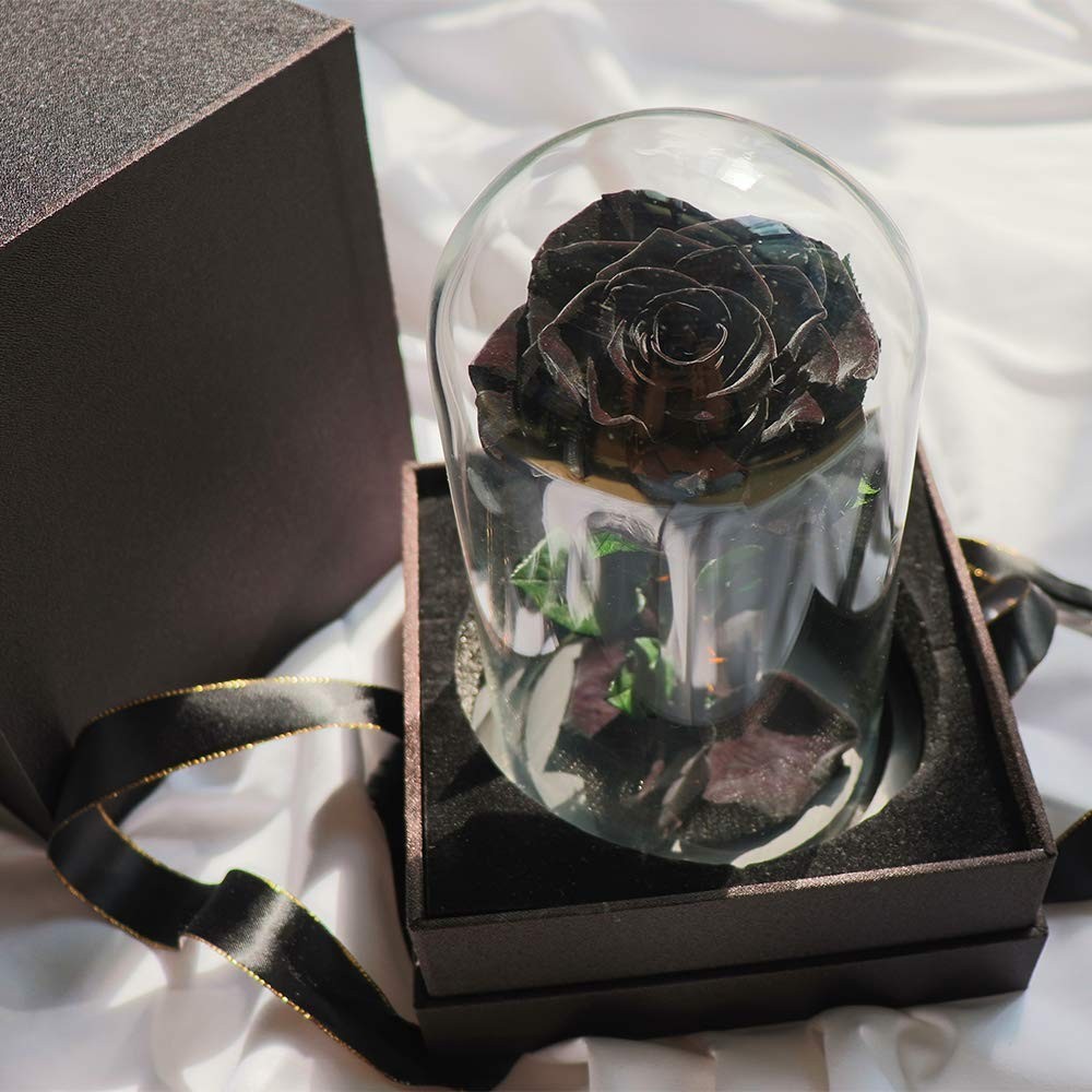 Preserved Roses Black in Glass Dome, Medium,