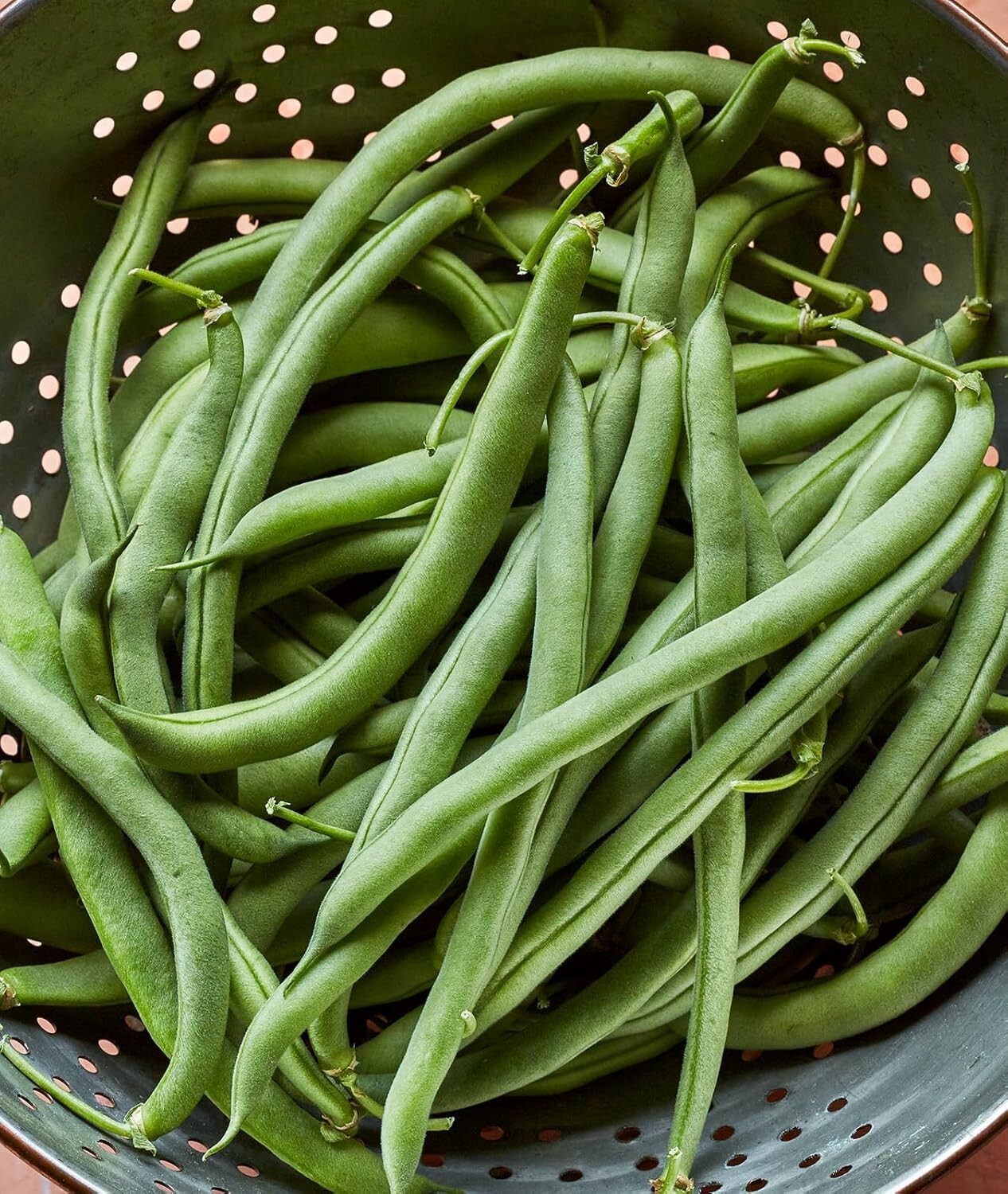 Fast-Growing 8 oz Blue Lake 274 Bush Bean Seeds – Perfect for Fresh Cooking
