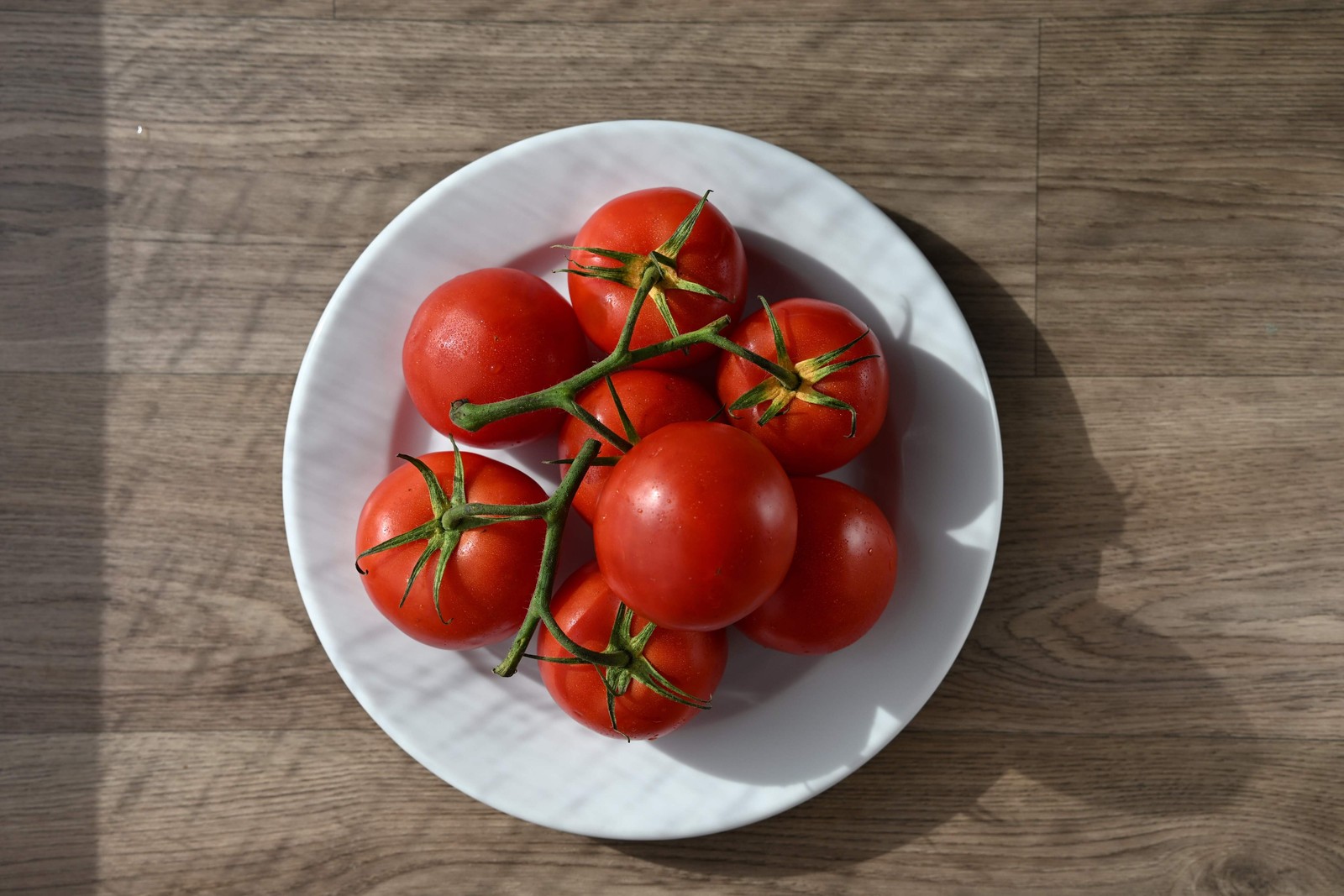 500 ACE 55 TOMATO Lycopersicon Lycopersicum Fruit Vegetable Seeds