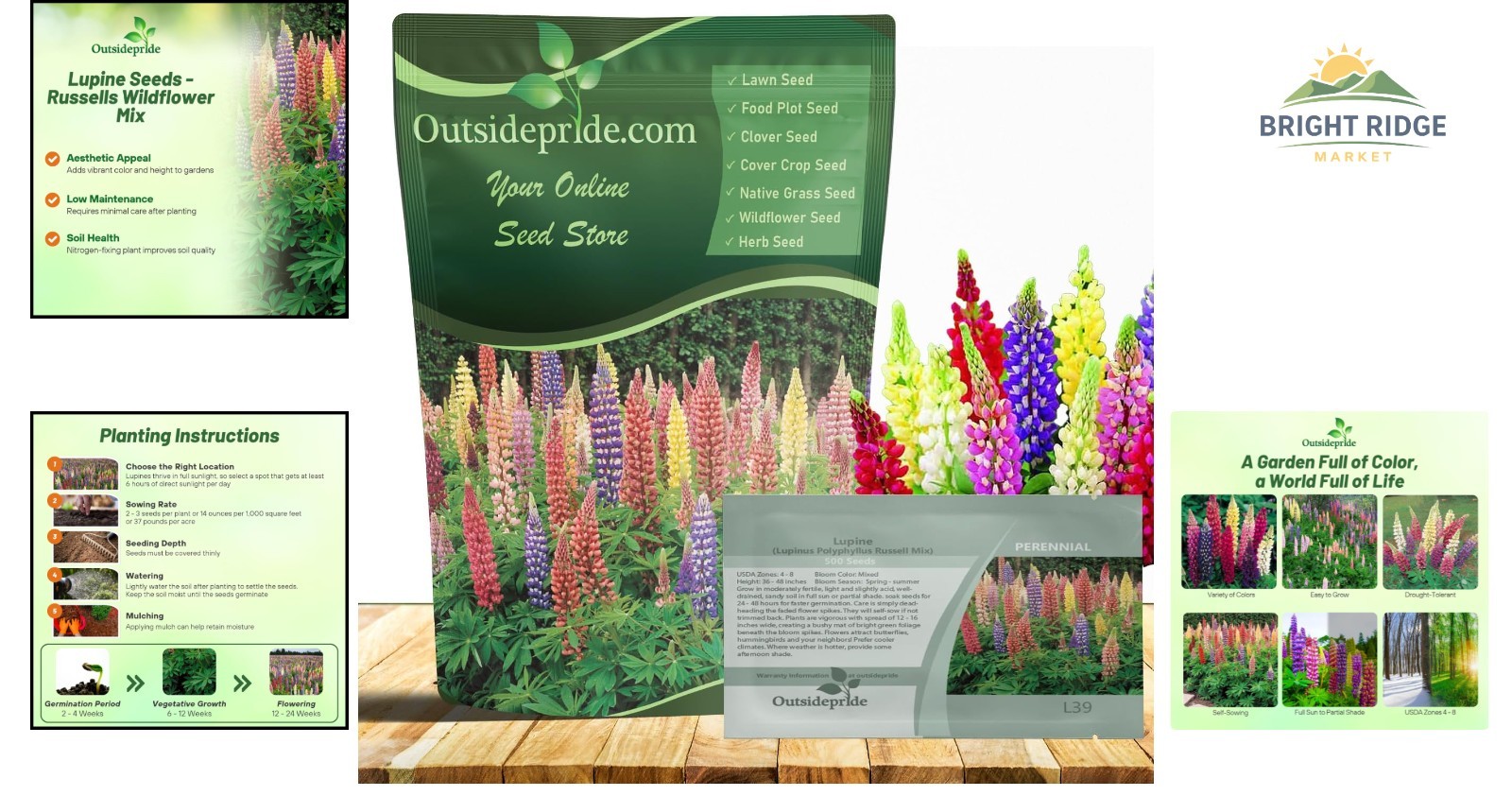 Mixed Russells Lupine Seeds for Perennial Wildflowers, 1/4 Lb. for Fall Planting