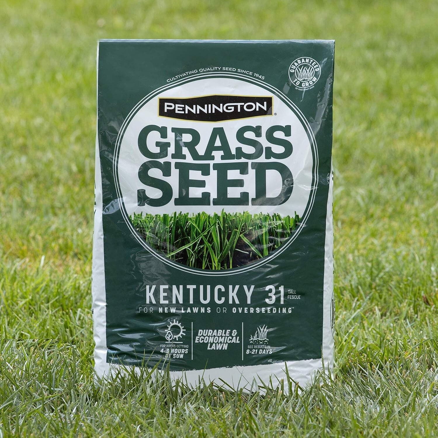 Semilla De Pasto De Crecimiento Rapido – Semilla De Cesped De Estacion 7 lb