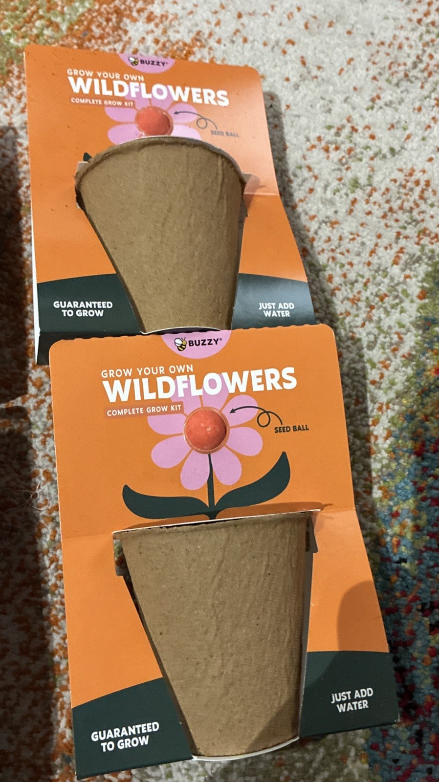 BUZZY Seeds Mini Pots 6 Pack with Plant Seeds For Wild Flowers!