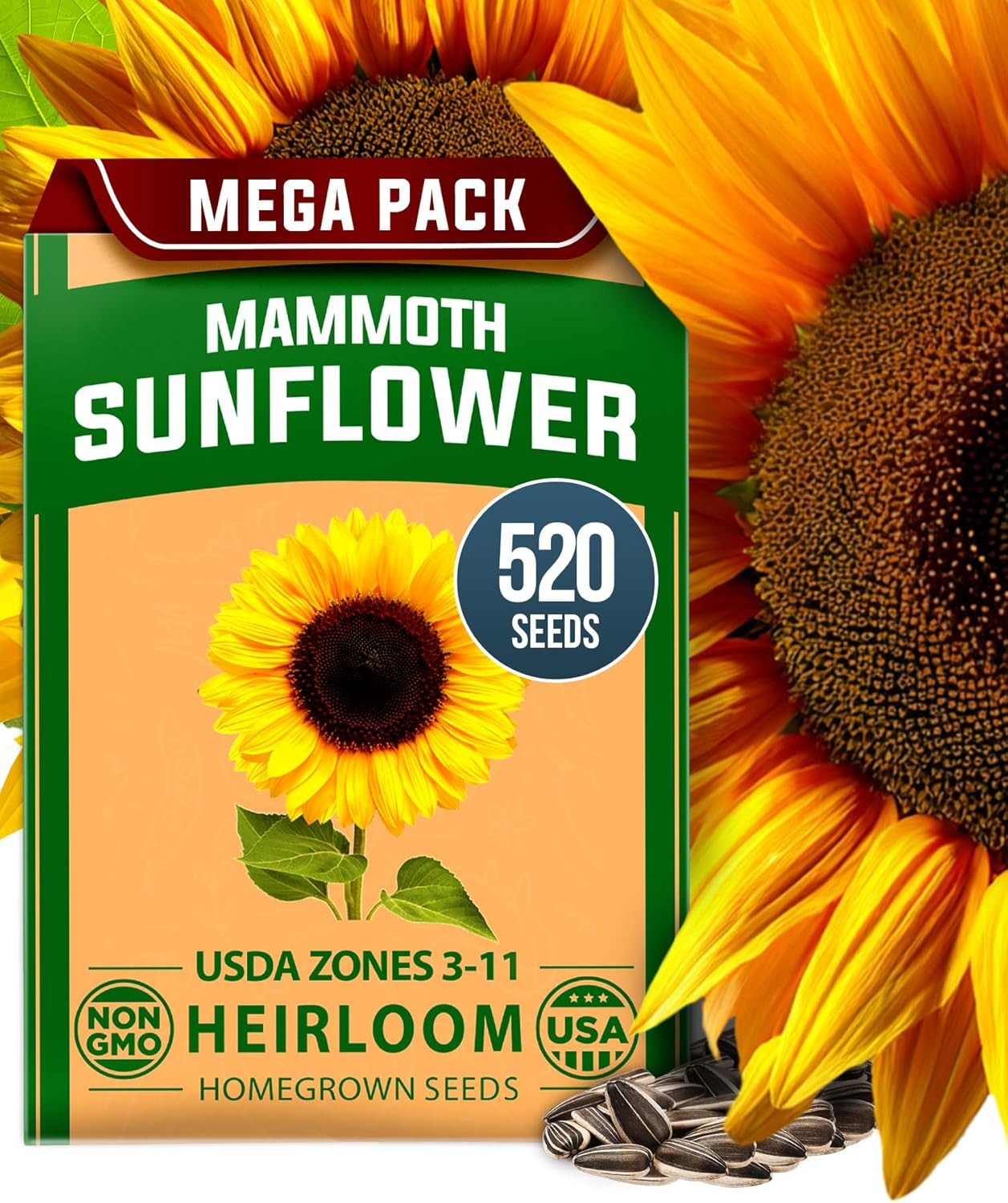 HOME GROWN Sunflower Seeds to Plant | 520+ Giant Mammoth Sunflower Seeds for Pla