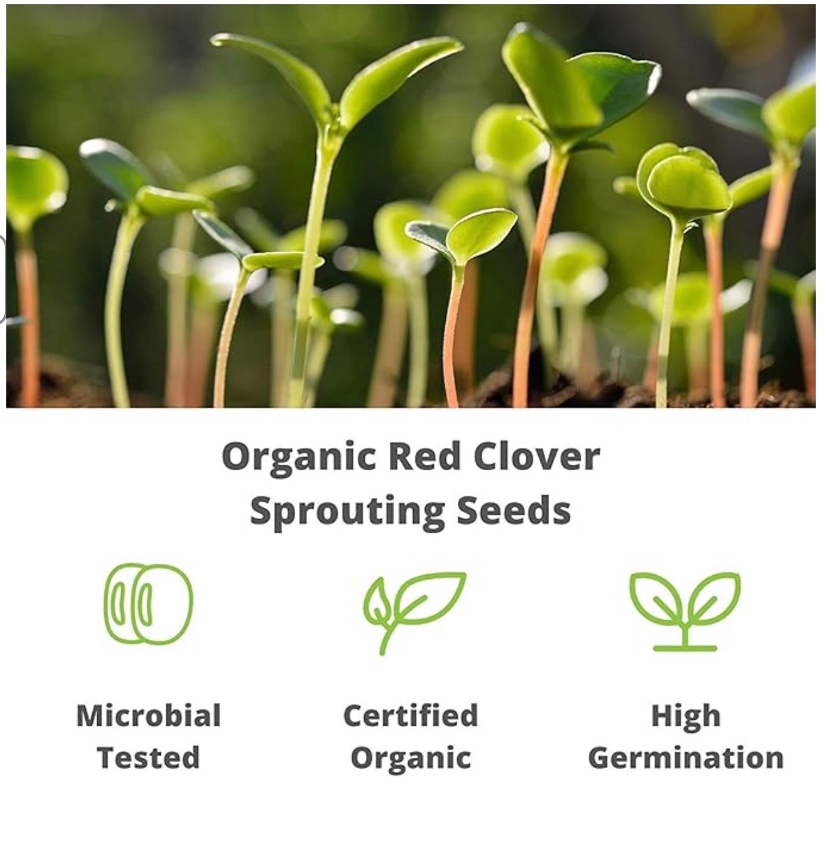 Handy Pantry Certified Organic Red Clover Sprouting Seeds – (8 Oz)