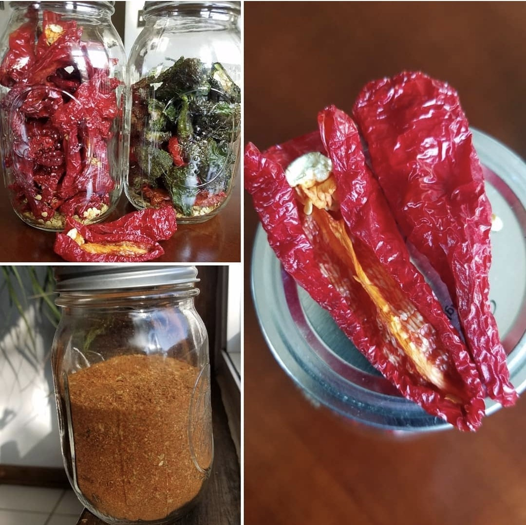 Leutschauer Paprika Pepper Seeds 10 Organic Seeds *Free Shipping*