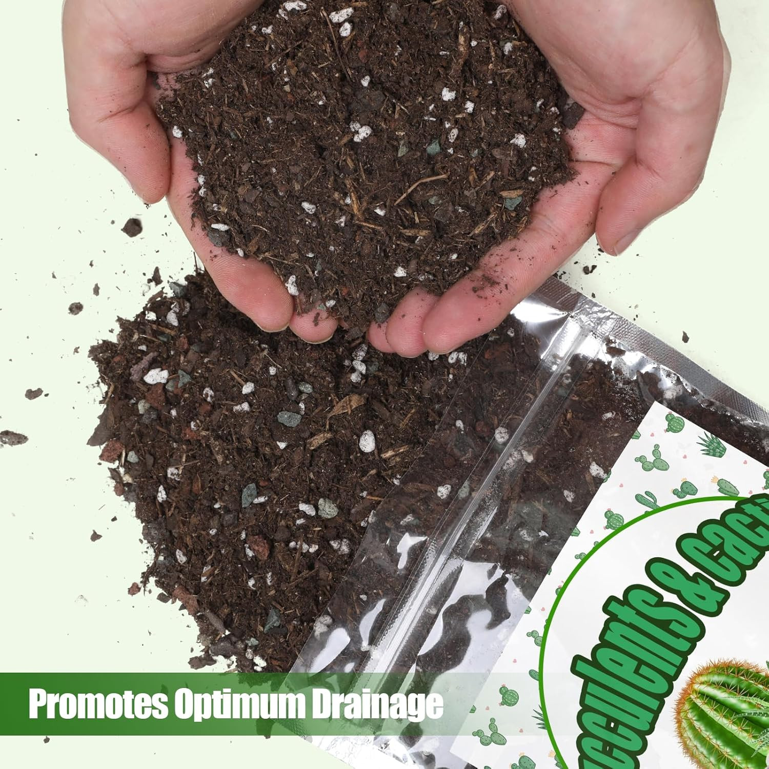 Cactus & Succulent Soil Mix 1Qt, Chunky Well-Draining Soil for Indoor Plants – S