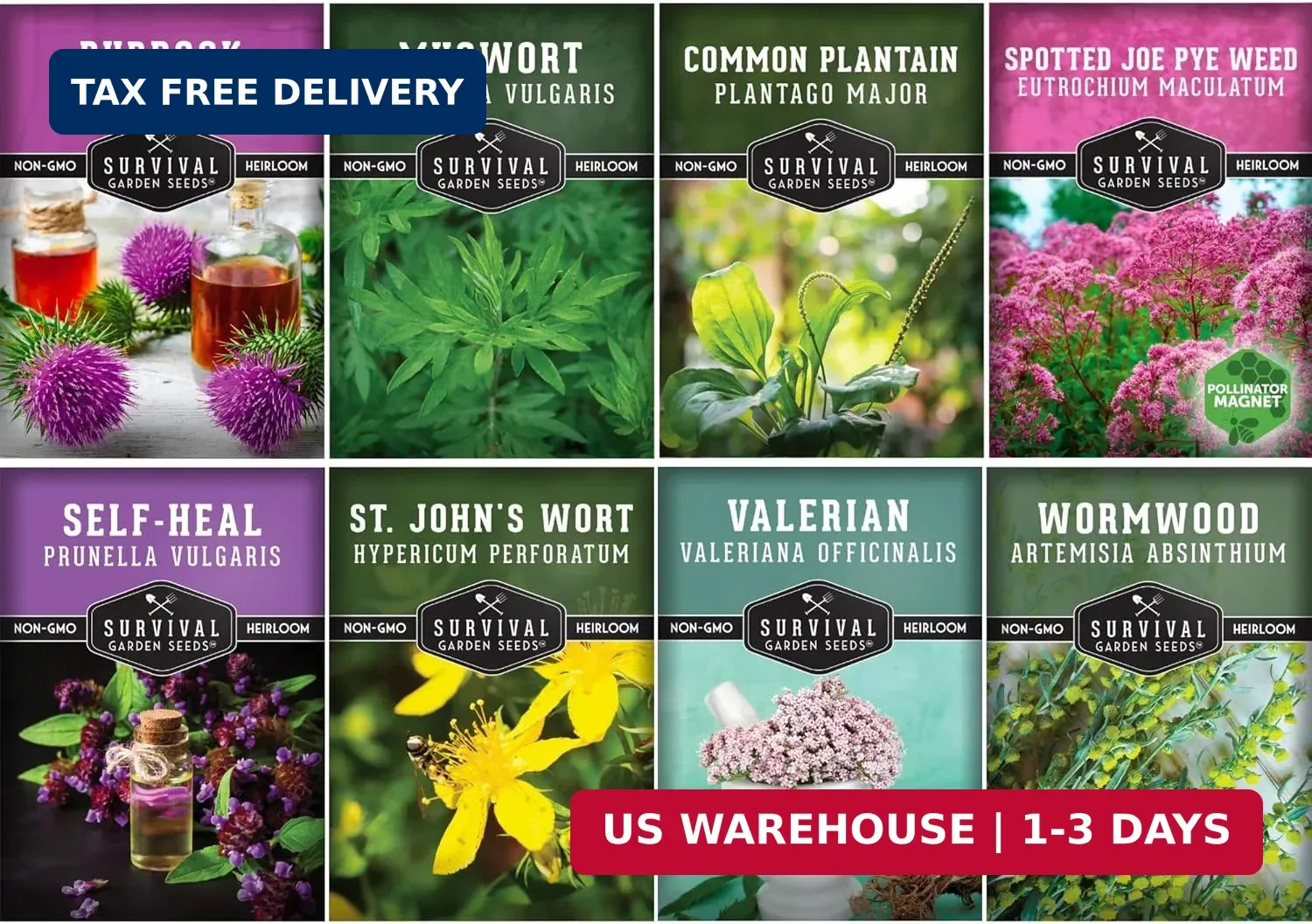 Advanced Medicinal Herb Seeds Collection – Variety Pack for Planting with Planta