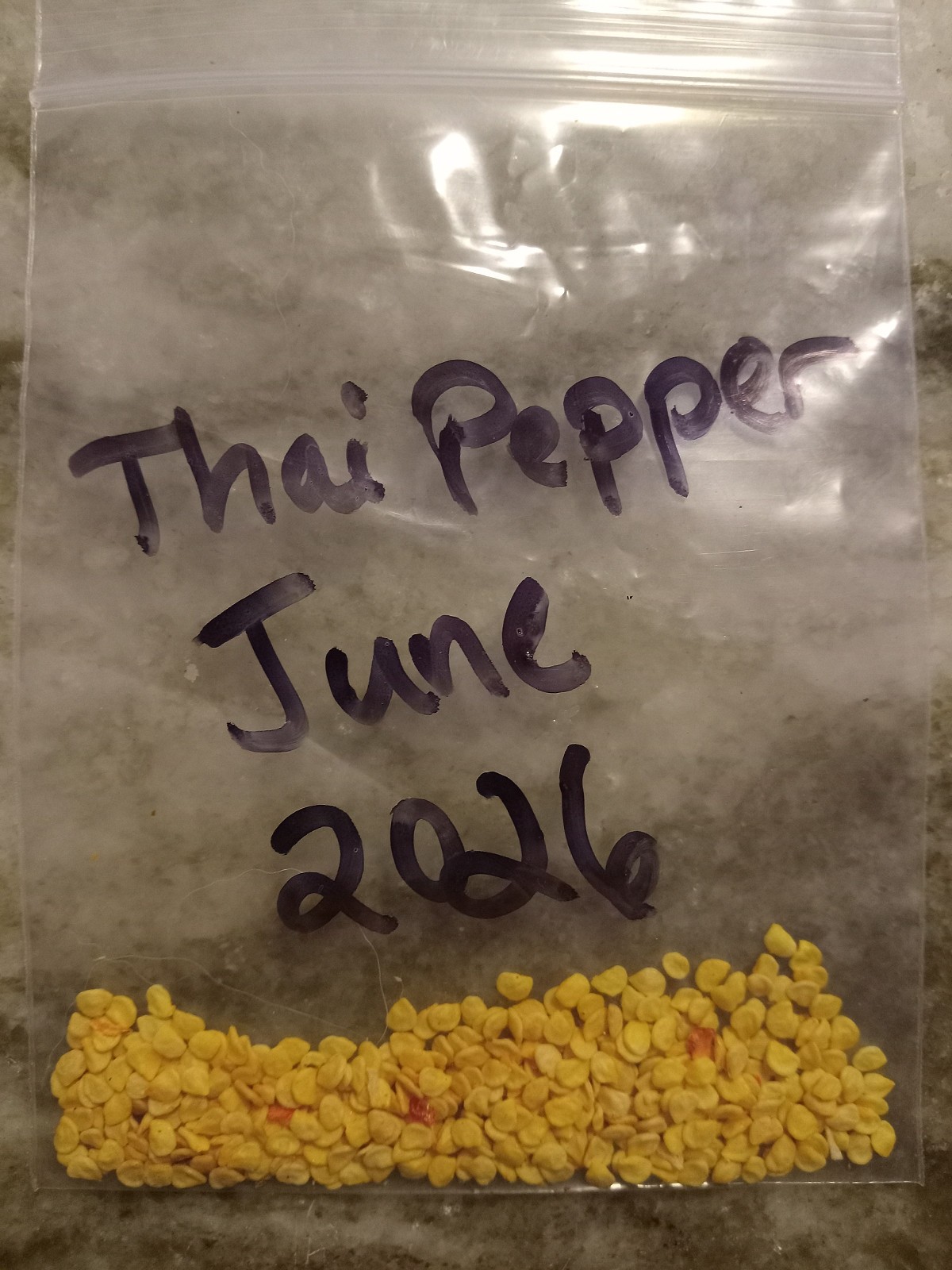 Thai pepper seeds chilli organic Thailand