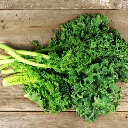 250+ Dwarf Siberian Kale Seeds Heirloom NON-GMO Fresh Seeds for Your Garden