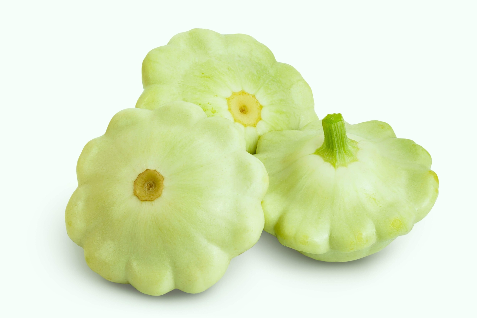 20 Green Tint BUSH SCALLOP SQUASH Patty Pan Cucurbita Pepo Vegetable Seeds