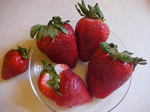 25 SEEDS BIG SWEET MAMA STRAWBERRY PRODUCE SUPER HUGE SWEET STRAWBERRIES ENJOY