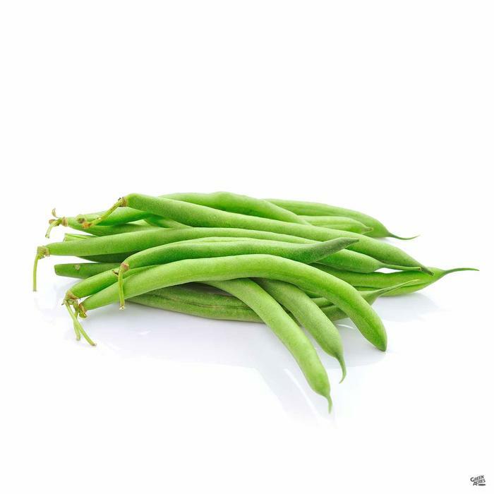 Blue Lake Pole Bean Seeds 75 Ct Green Vegetable Garden Heirloom NON-GMO USA