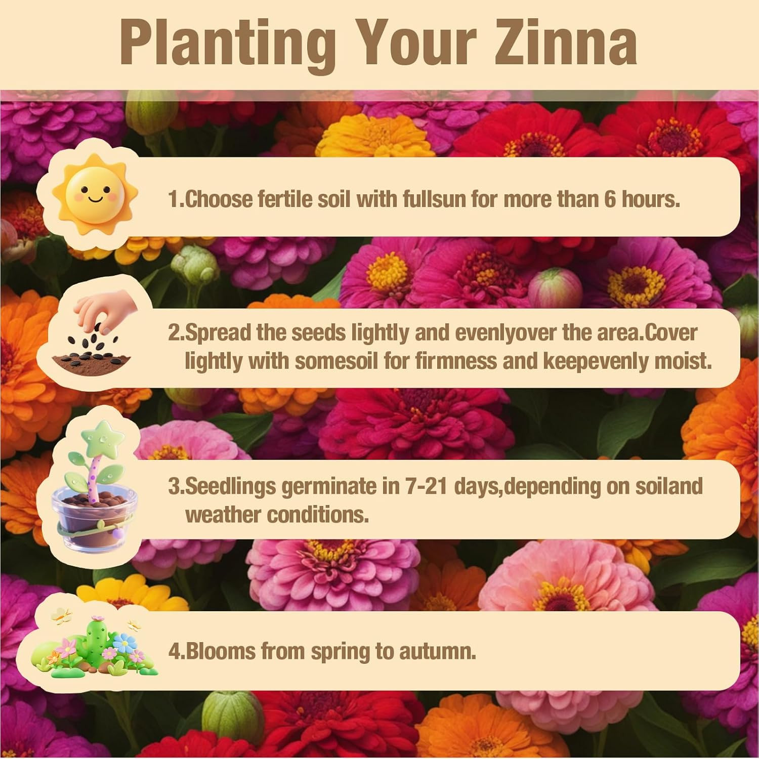 Zinnia Flower Seeds 2 Oz Packet 8000+ Mixed Colors Large Blooms Easy to Grow