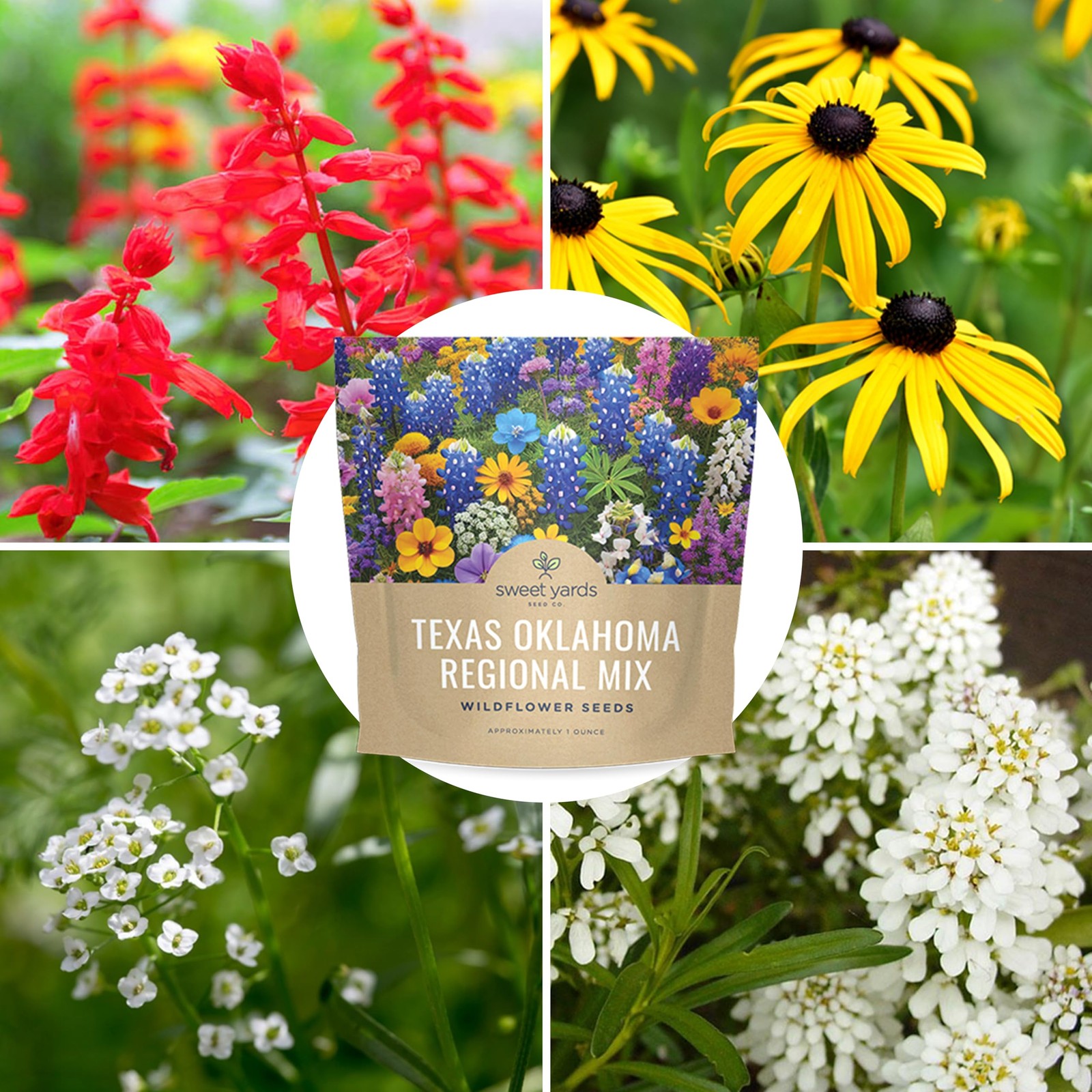 Texas Oklahoma Wildflower Seeds Mixture – Bulk 1 Ounce Packet – Over 15,000 N…