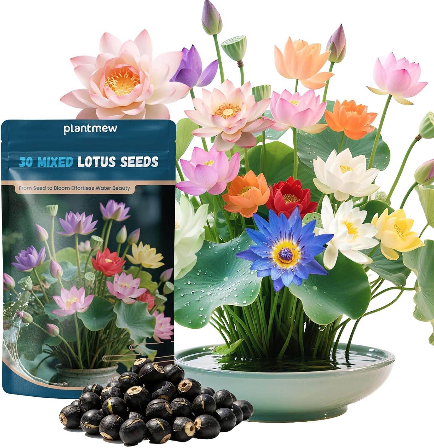 Lotus Seeds for Planting in Water | 30 PCS Mixed Color Bowl Lotus Seeds for Indo