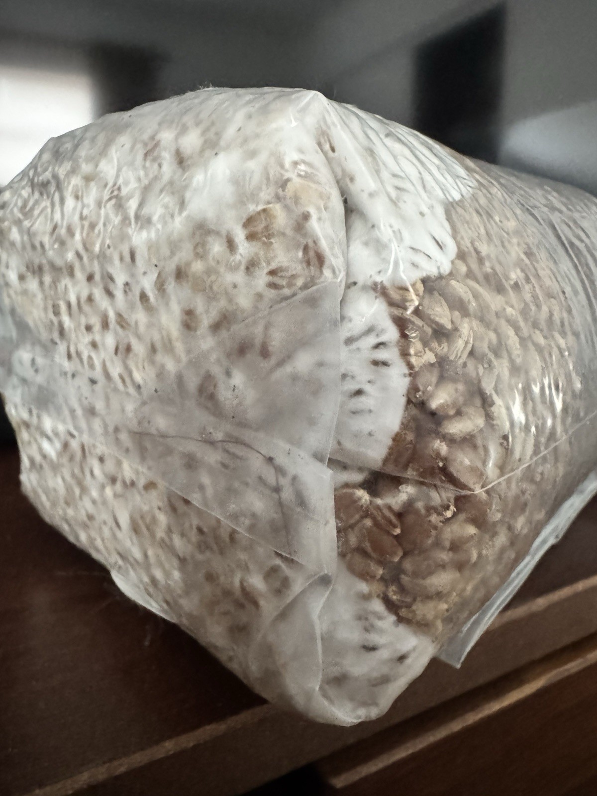 2 lb Sterile Rye Spawn Bag W Injection Port-mushroom Substrate