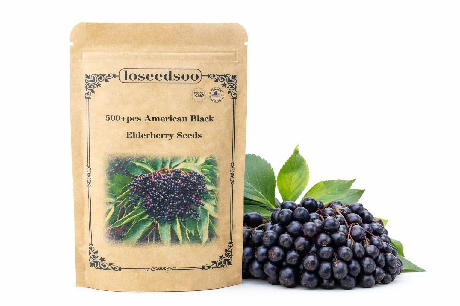 American Black Elderberry Seeds 500+ for Planting