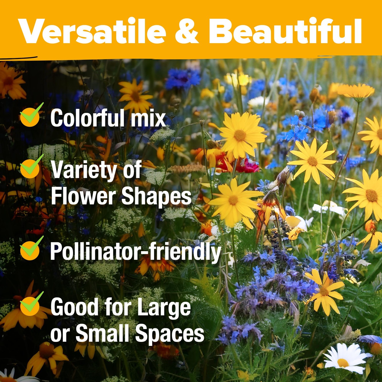 Wildflower Seeds Bulk Mix | 90,000+ NonGMO Perennial Flower Seed for Outdoor …