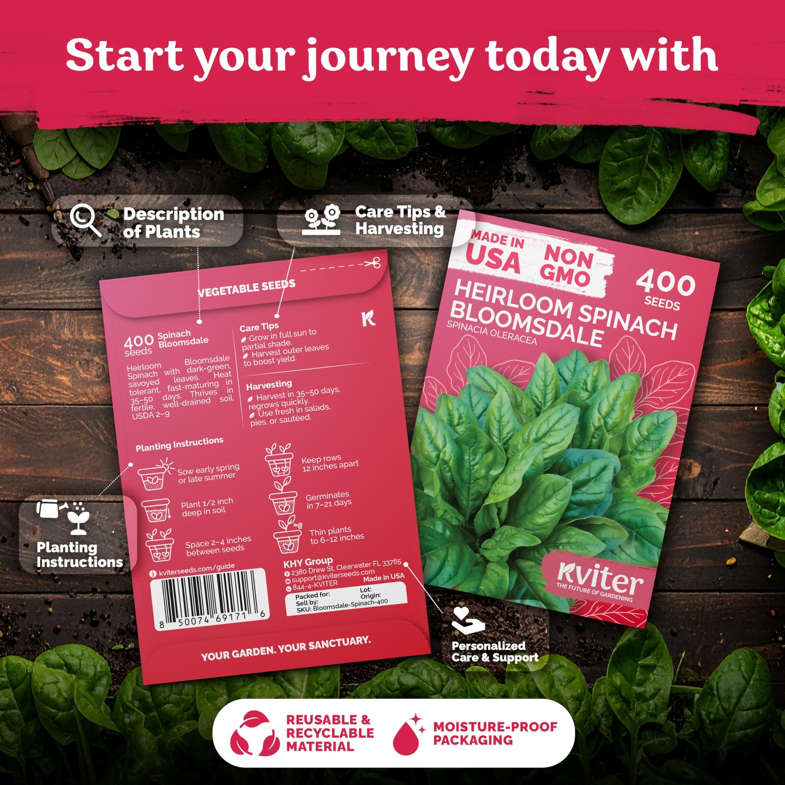KVITER 400 Bloomsdale Spinach Seeds (Spinacia oleracea)