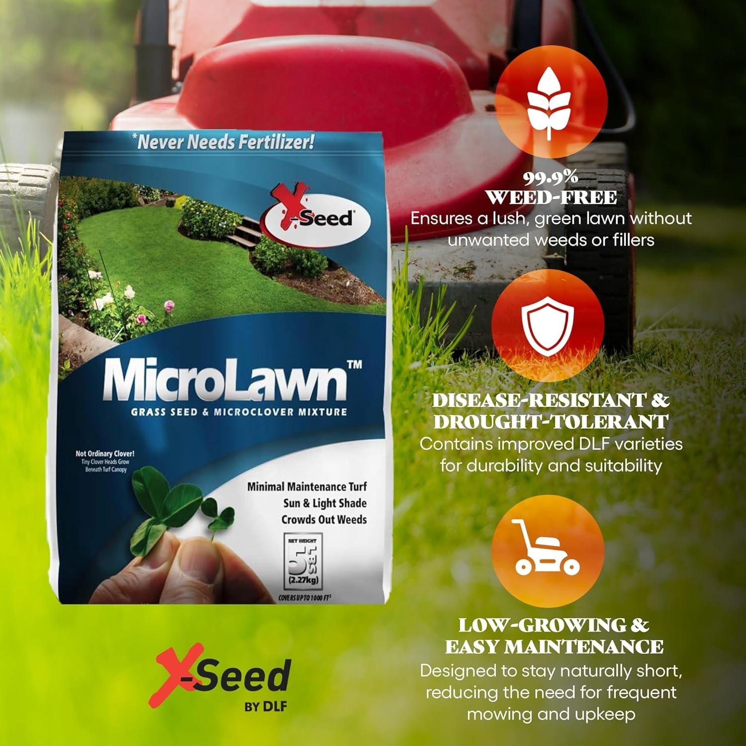 Microlawn Grass Seed & Microclover Mix – Dense Self Feeding Lawn, Sun & Shade…