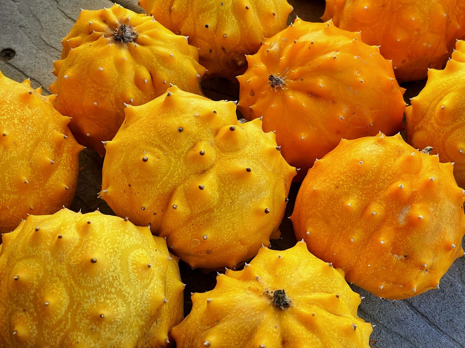 50+ Kiwano Rund Horned Melon Seeds Exotic Vine and Melon US seller Free ship